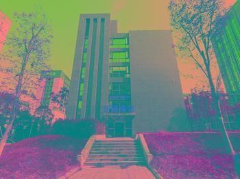 Wangsu Business Hotel Binjiang Dış mekan fotoğraf