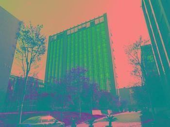 Wangsu Business Hotel Binjiang Dış mekan fotoğraf